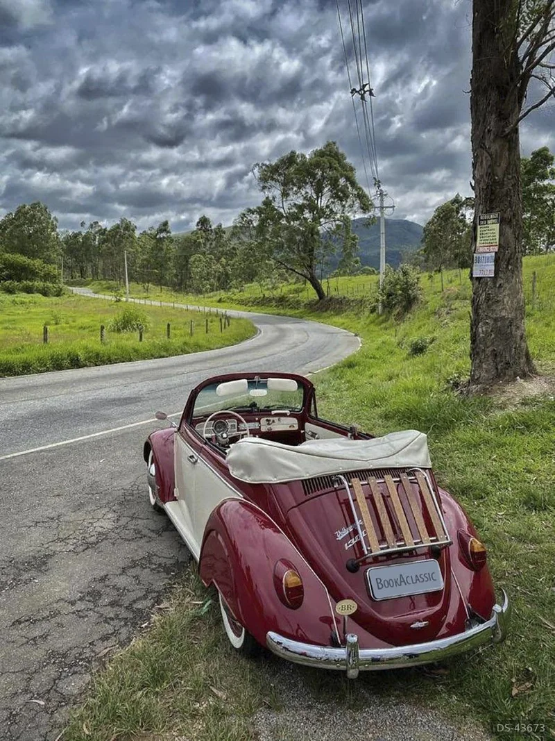 1965 Volkswagen 1965