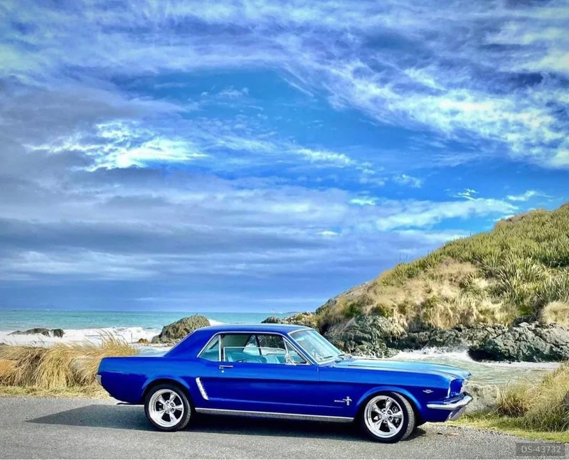 1966 Ford Mustang in Invercargill