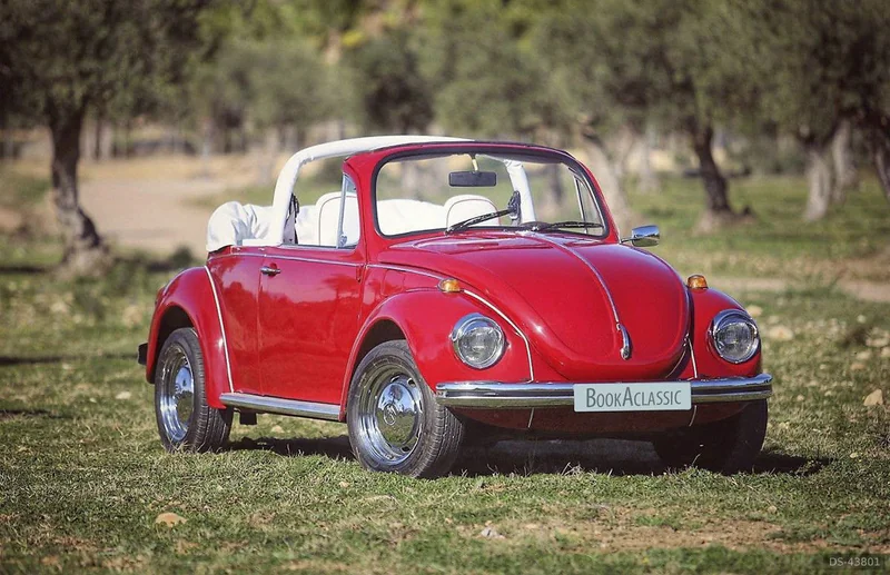 1973 Volkswagen 1302 in Malaga 9