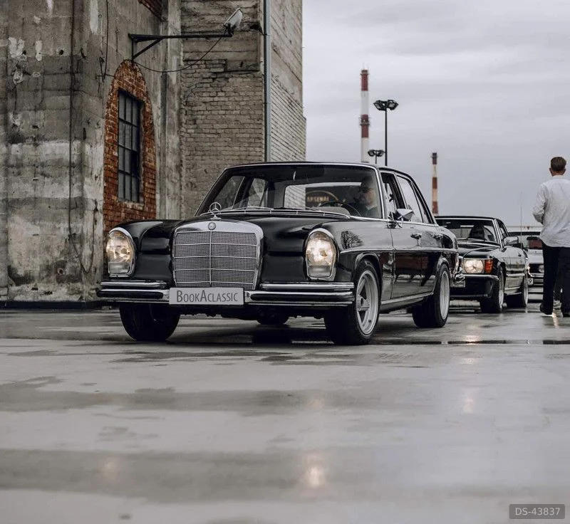 1966 Mercedes-Benz W108 in Opole 4
