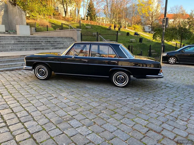1966 Mercedes-Benz W108 in Opole 2