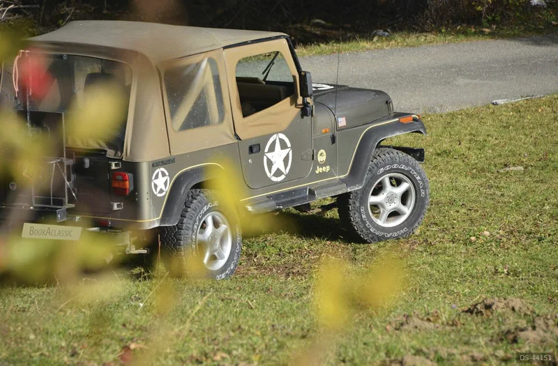 1990 Jeep Wrangler Sahara in Chateau Doex 2