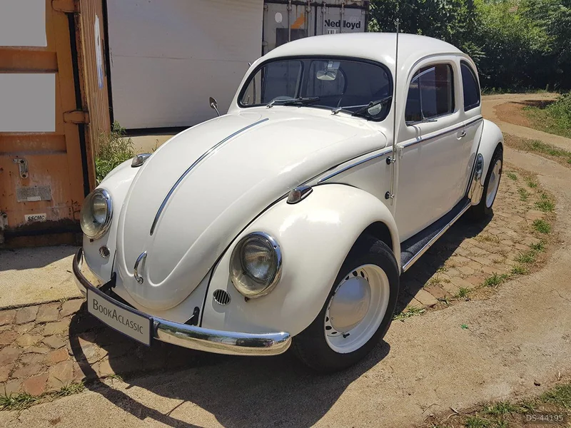 1956 Volkswagen Beetle in Centurion