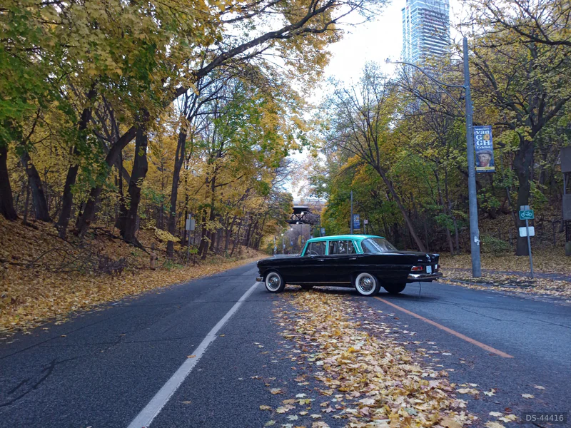 1967 Mercedes-Benz 200d in York 8