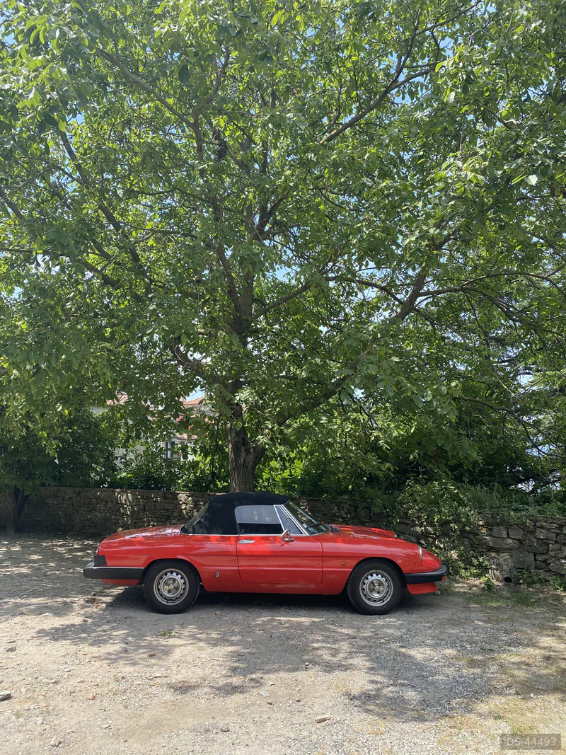 1984 Alfa Romeo Duetto in Porto Cervo 5