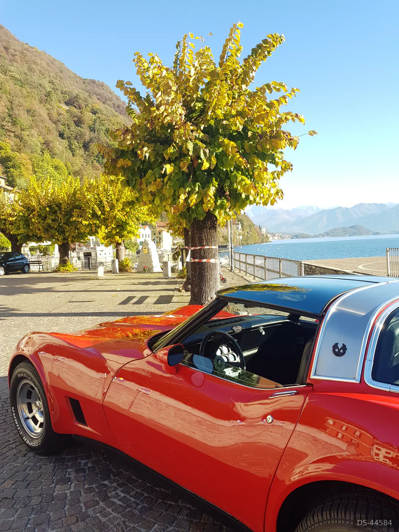 1981 Chevrolet Corvette C3 in Como 3