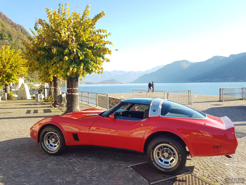 1981 Chevrolet Corvette C3 in Como 4
