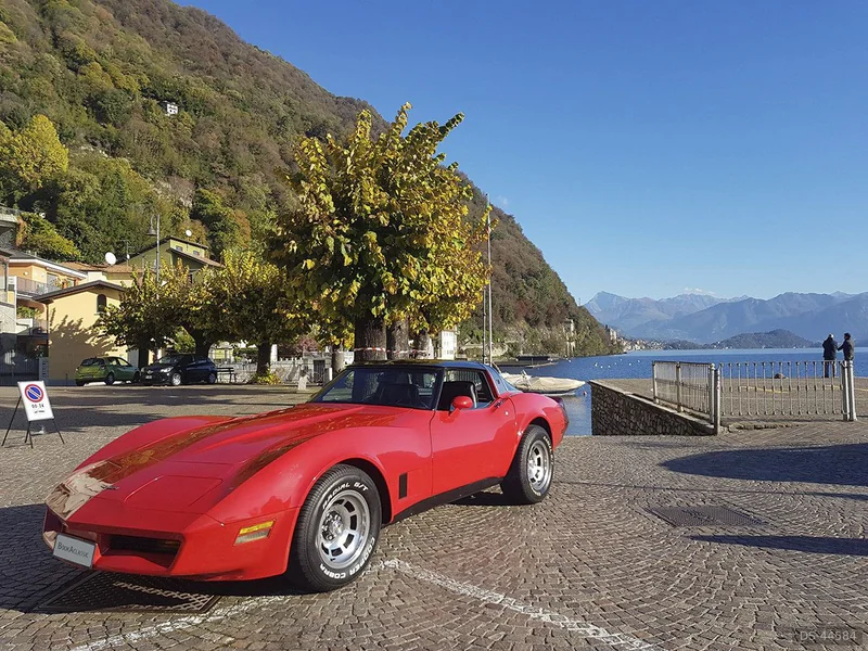 1981 Chevrolet Corvette C3 in Como 5