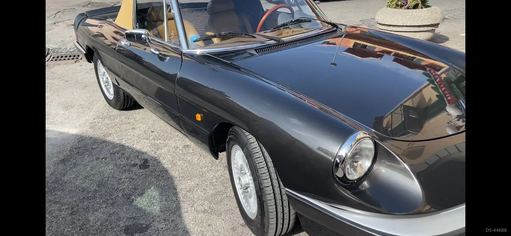 1983 Alfa Romeo Spider