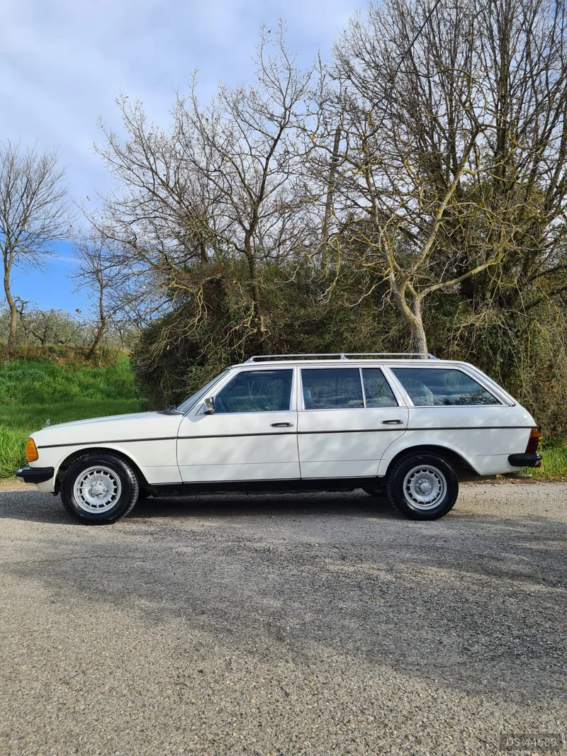 1982 Mercedes-Benz 240 Ttd in Arezzo 2