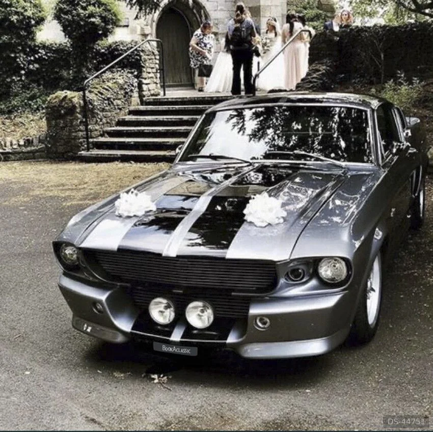 1967 Ford Mustang Gt 500