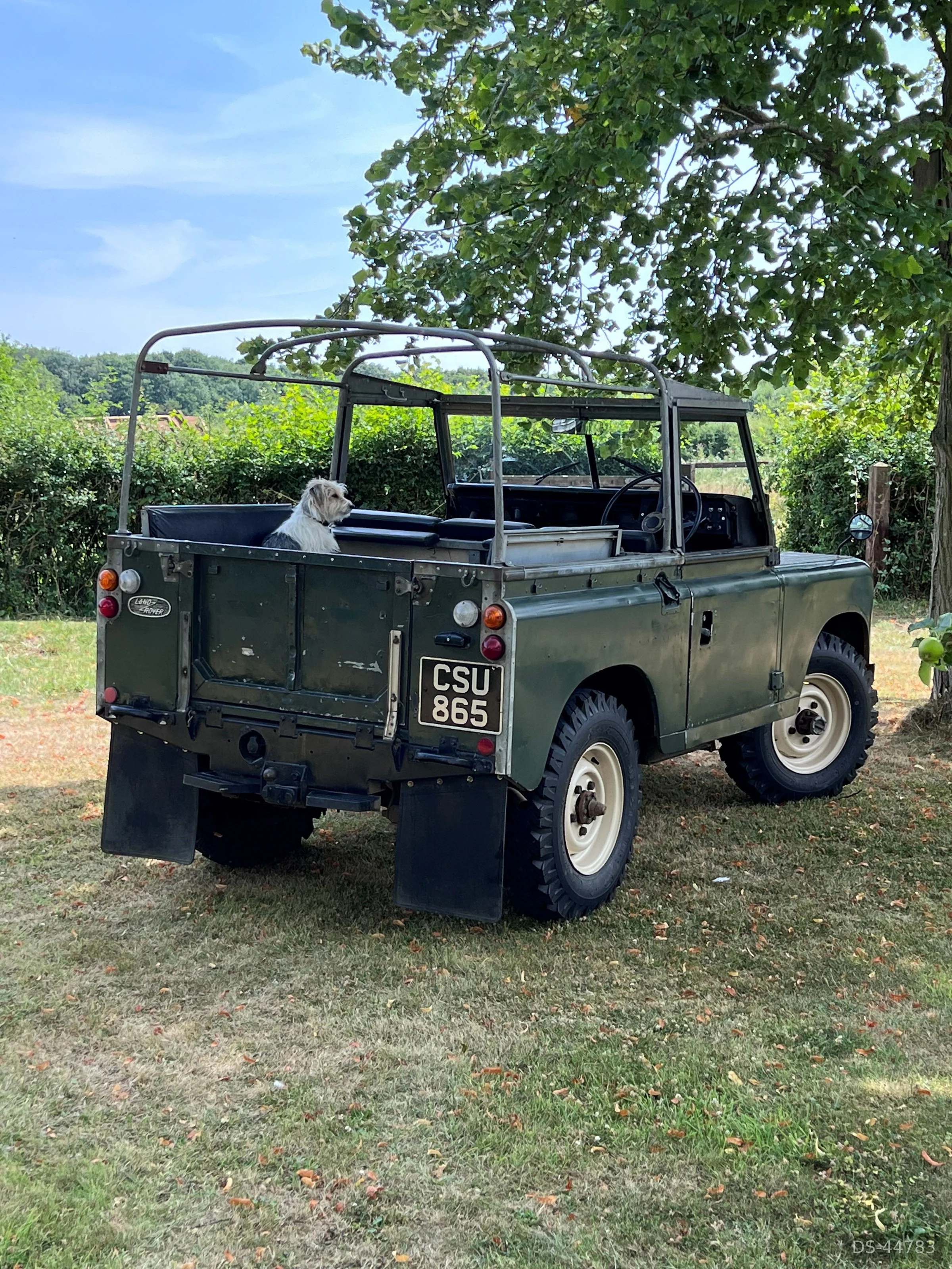 1961 Land Rover Series II