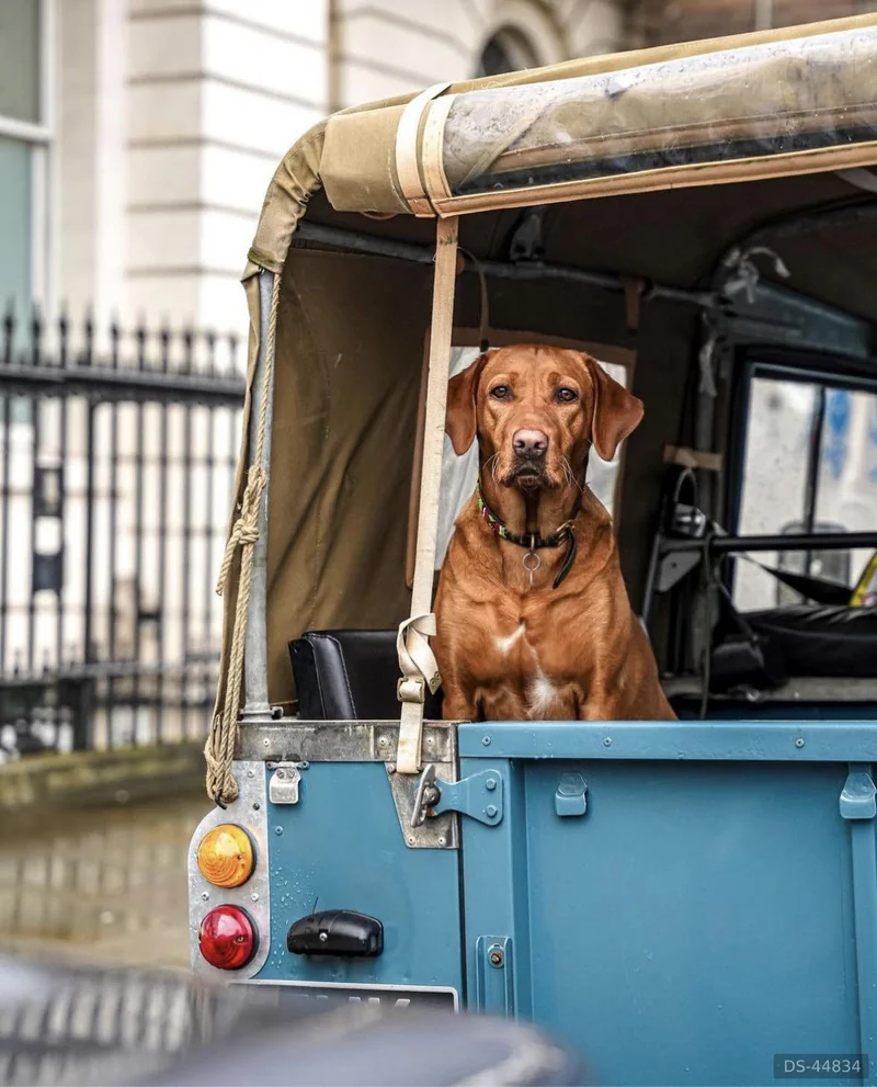 1983 Land Rover Series 3 in London 2