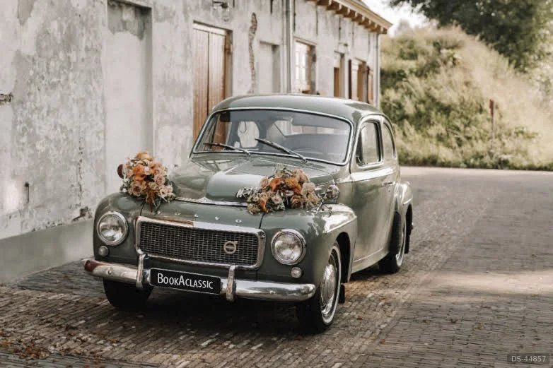 1960 Volvo Pv544 Katterug