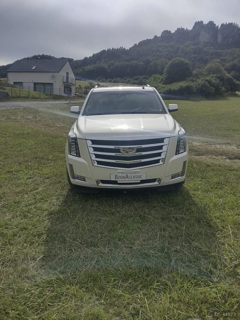 2015 Cadillac Escalade in žilina 6