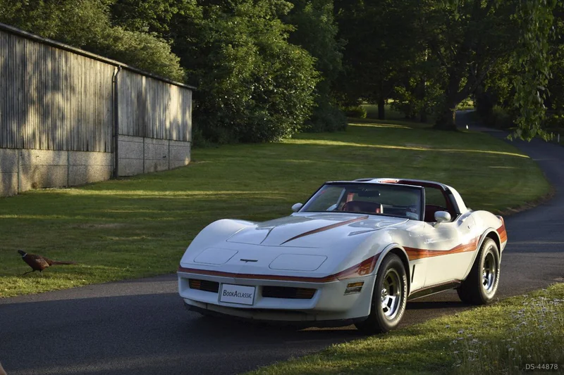 1981 Chevrolet Corvette in Cranleigh 5