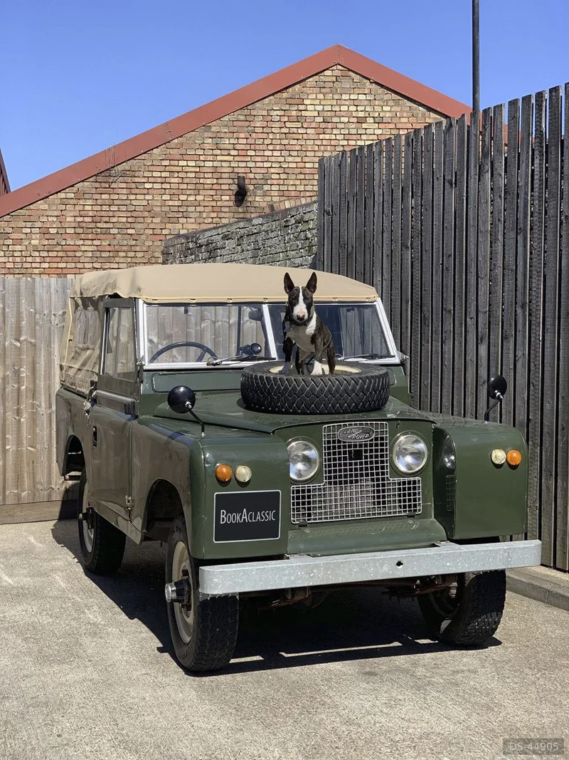 1966 Land Rover Series 2a in East Sussex 2