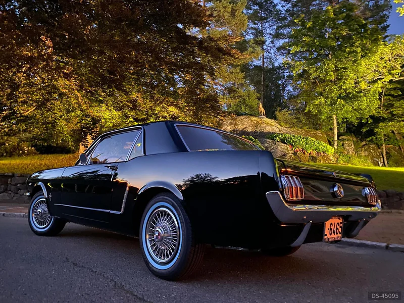 1964 Ford Mustang in Oslo 3