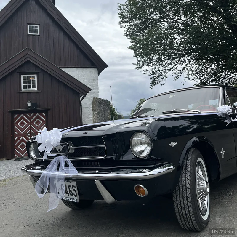 1964 Ford Mustang in Oslo 9