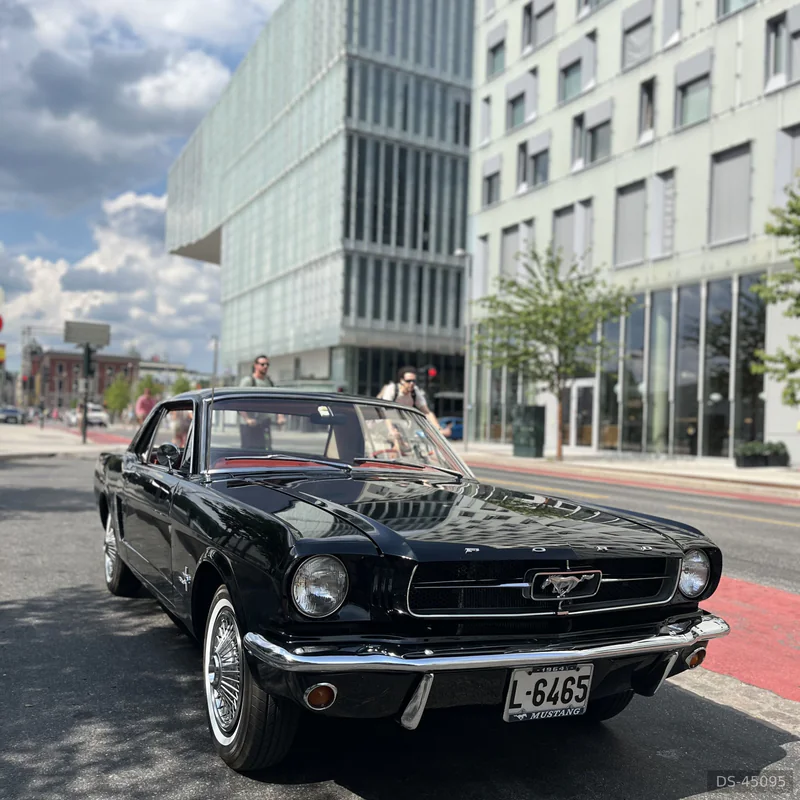 1964 Ford Mustang in Oslo 10