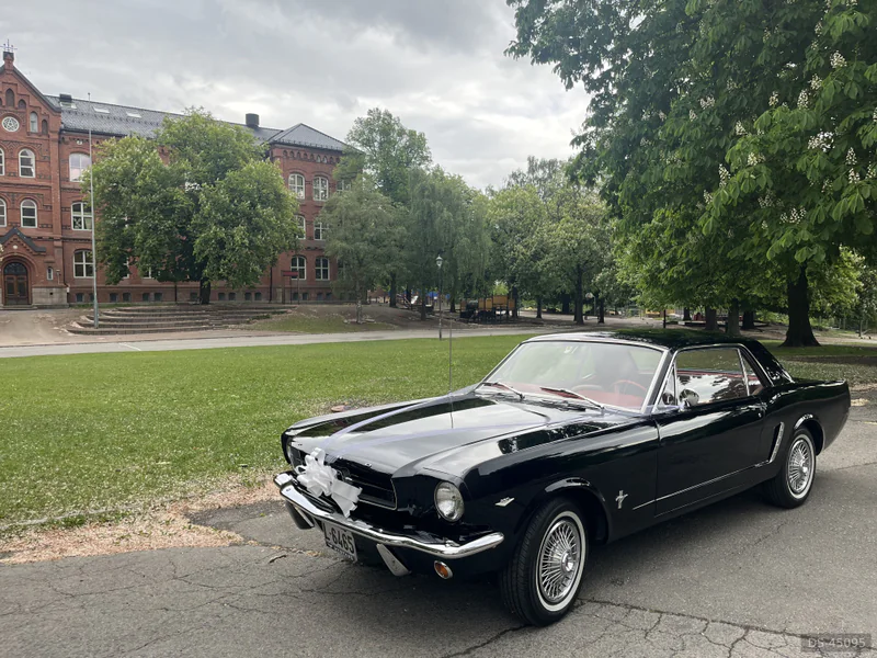1964 Ford Mustang in Oslo 11