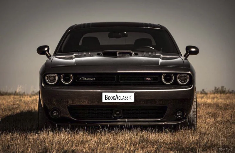 2015 Dodge Challenger in Perugia 3