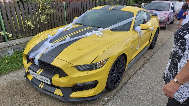 2016 Ford Mustang in Mohelnice 2