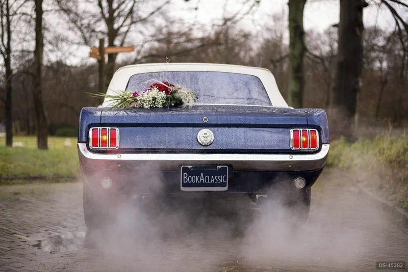 1966 Ford Mustang cabrio in Scherpenzeel 4