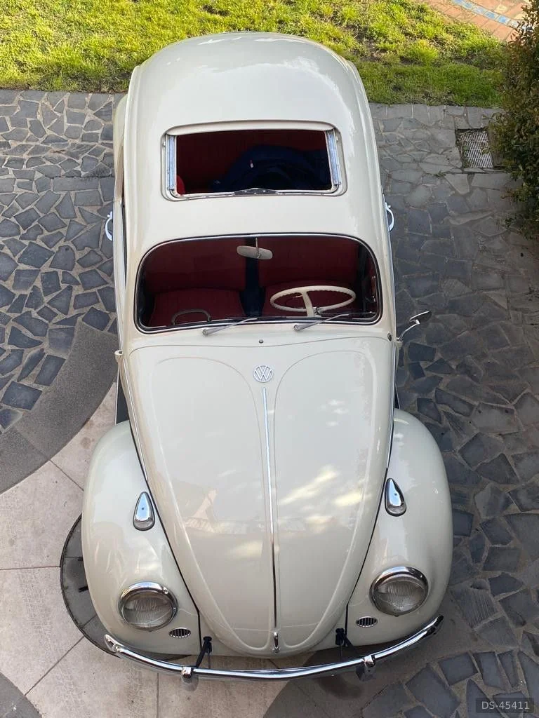 1966 Volkswagen Maggiolino in Misterbianco 10