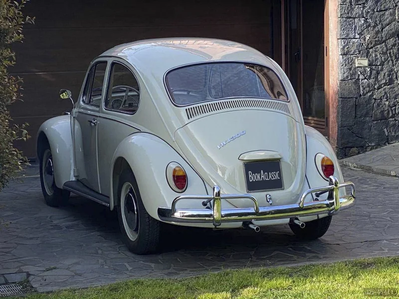 1966 Volkswagen Maggiolino in Misterbianco 8