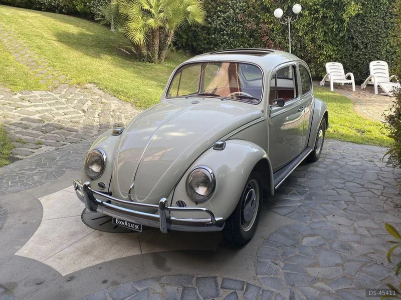 1966 Volkswagen Maggiolino in Misterbianco 6