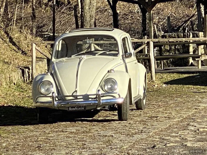 1966 Volkswagen Maggiolino in Misterbianco 19