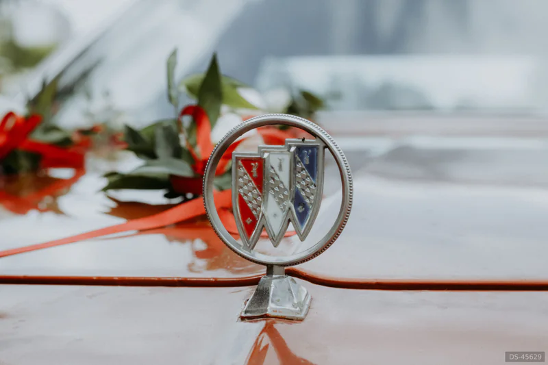 1975 Buick Century in Wrocław 5