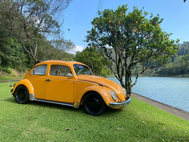1972 Volkswagen Fusca in Novo Hamburgo 3