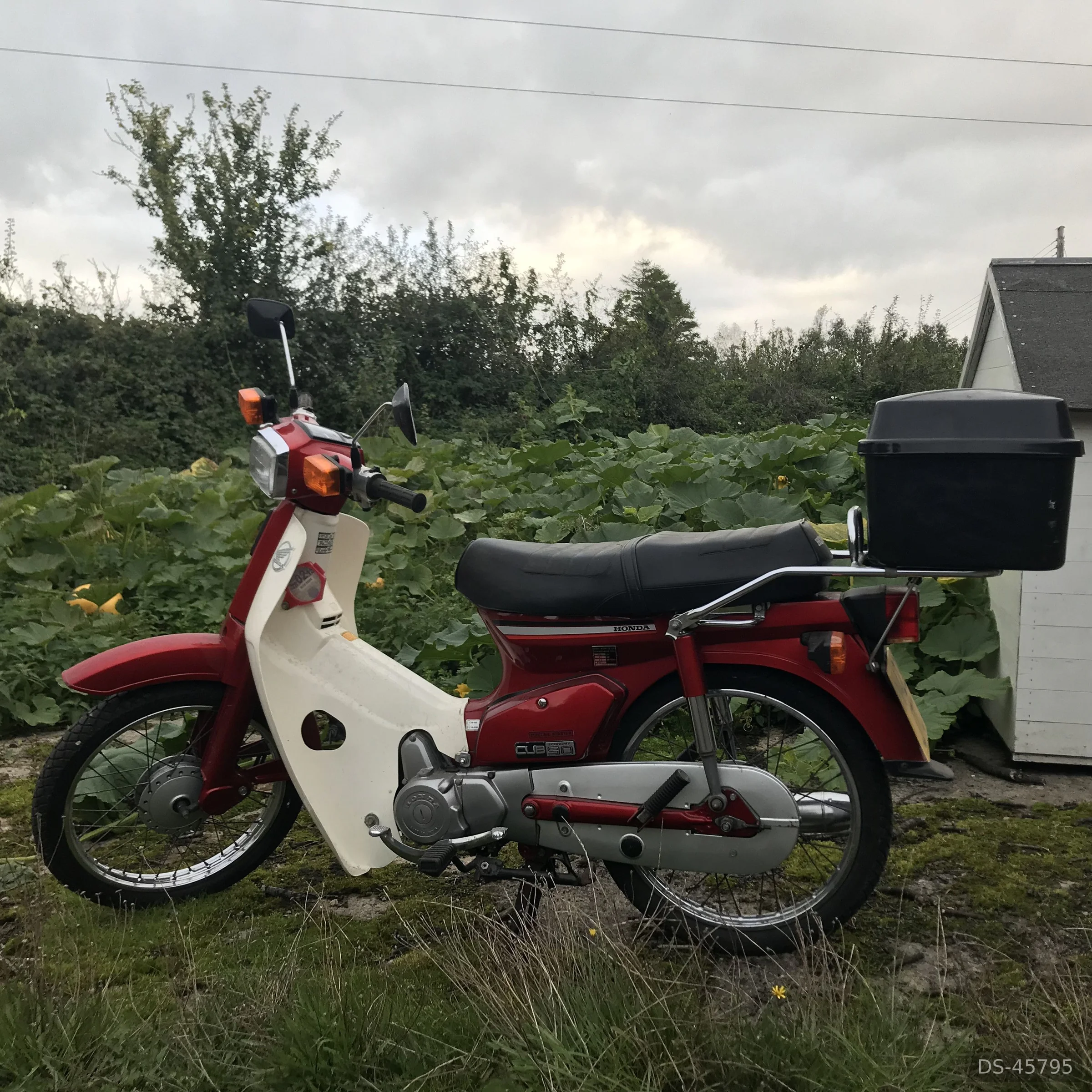 1994 Honda Cub 90