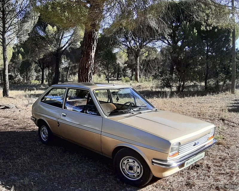 1977 Ford Fiesta in Valladolid 4