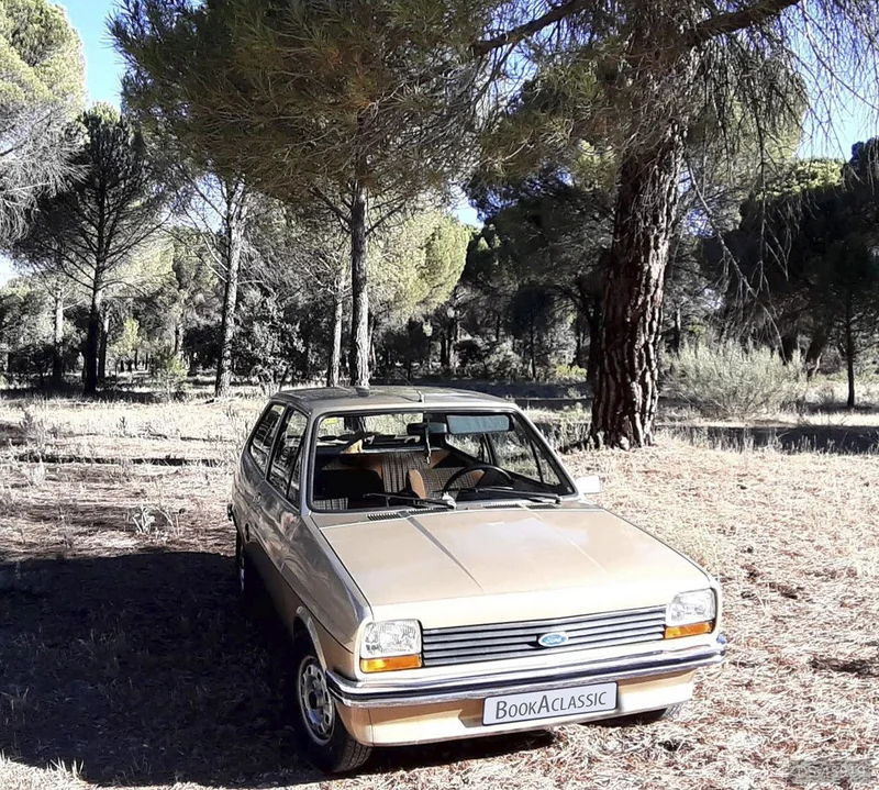1977 Ford Fiesta in Valladolid 3