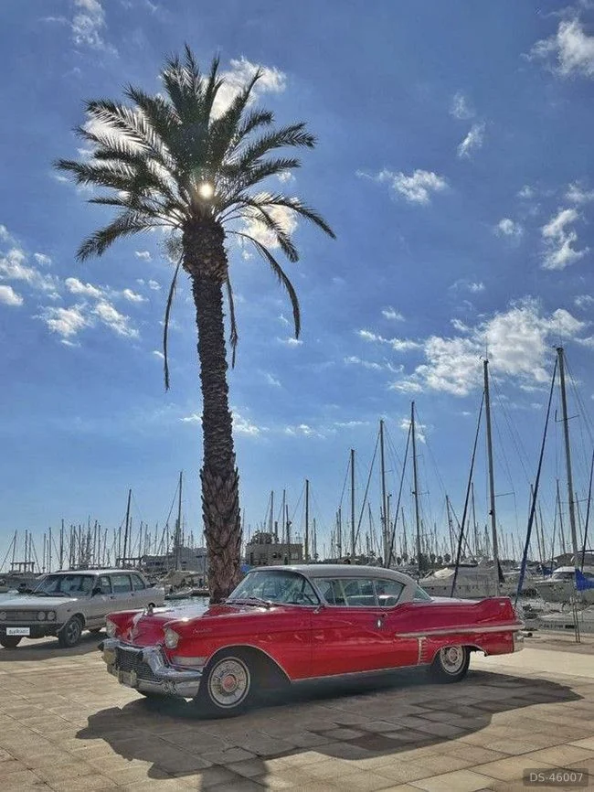 1957 Cadillac Coupé deVille in Vilafranca Del Penedès 8