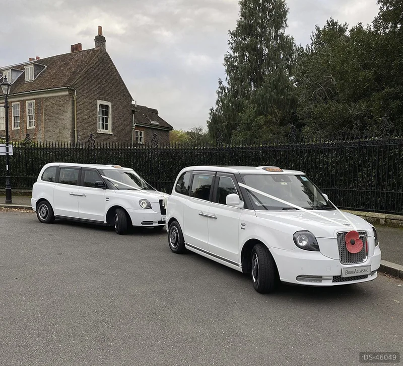 2019 London Taxi Eco London Taxi