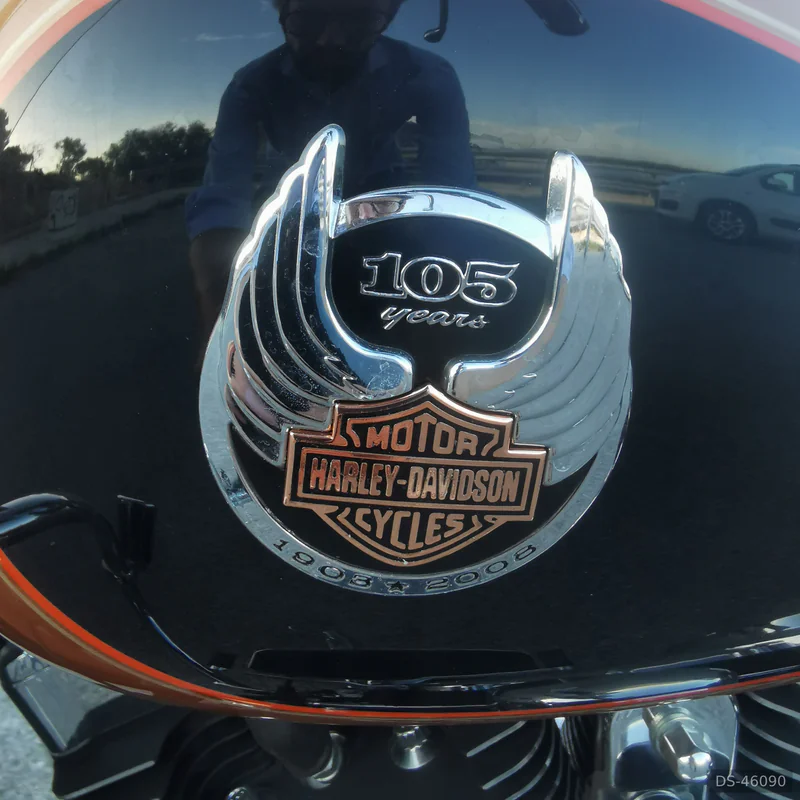 2008 Harley-Davidson Road King Classic 105th Anniversary in Palermo 4