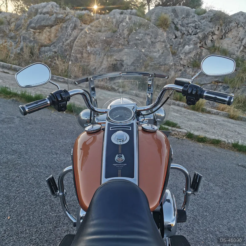 2008 Harley-Davidson Road King Classic 105th Anniversary in Palermo 5