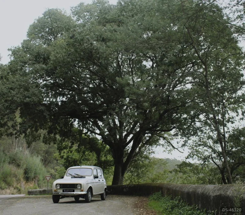 1989 Renault 4l in Coimbra