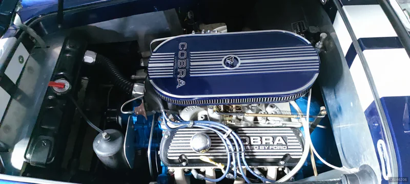1965 AC Shelby Cobra 1965 in Praha 8