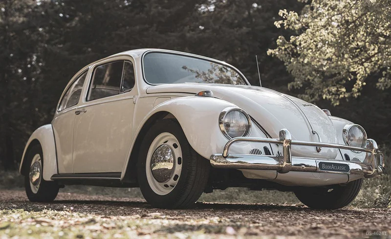 1967 Volkswagen Maggiolino 6v in Cassano Delle Murge 3
