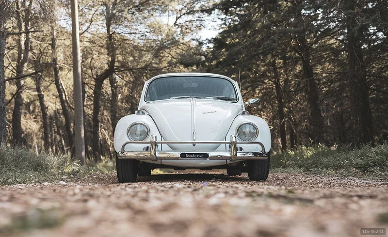 1967 Volkswagen Maggiolino 6v in Cassano Delle Murge 10