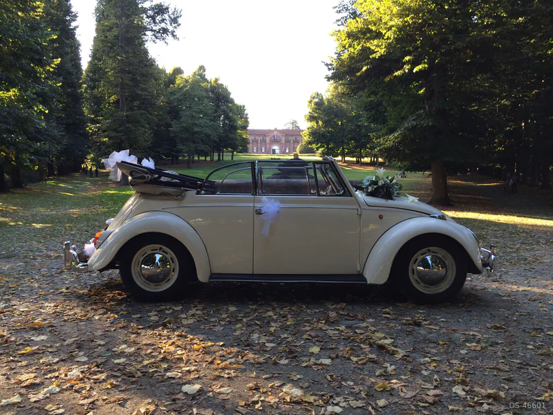 1966 Volkswagen Maggiolino in Torino 3