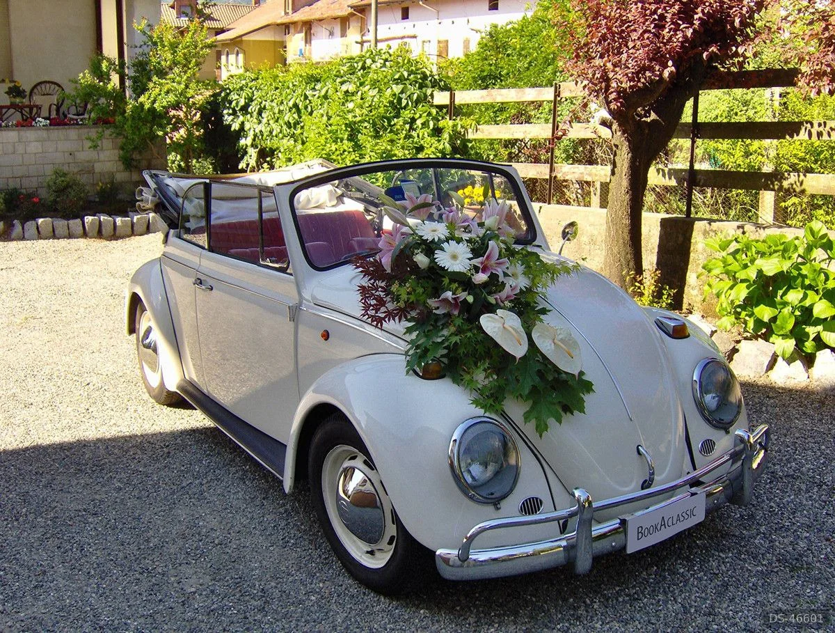 1966 Volkswagen Maggiolino