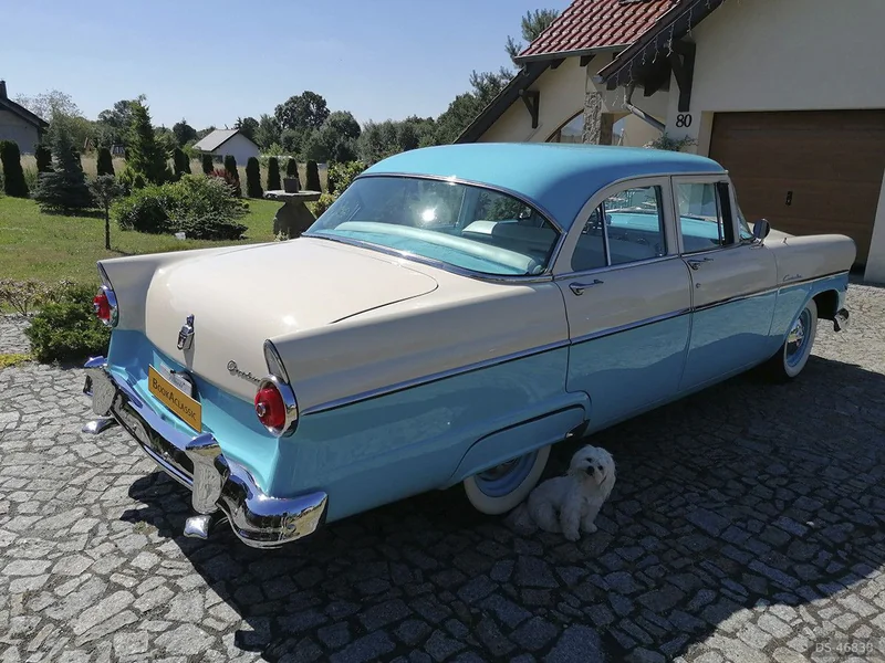 1955 Ford Custom Line in żary 4