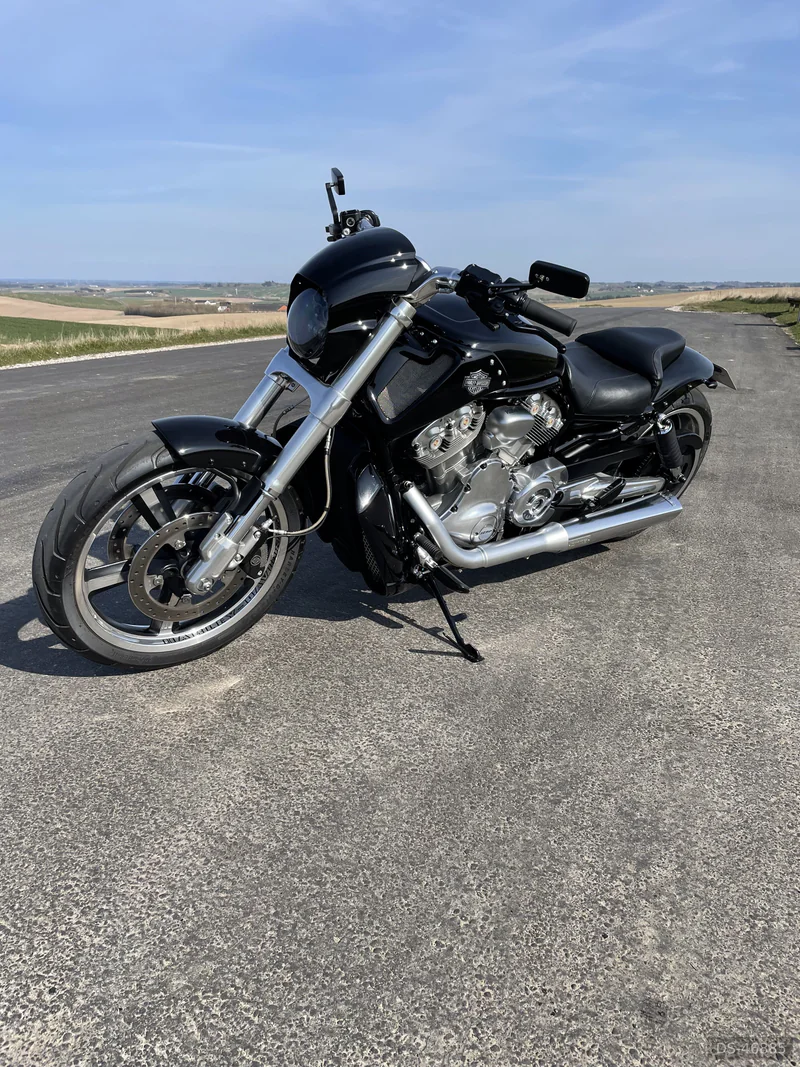 2012 Harley-Davidson V-rod Muscle in Hjørring