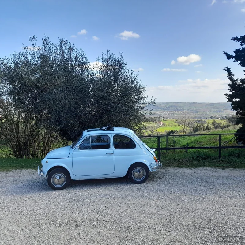 1970 Fiat 500l in Pesaro 6
